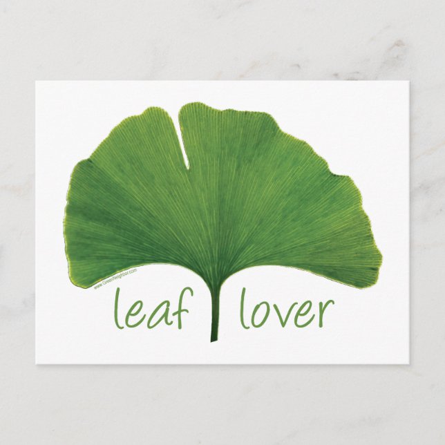 Gingko Leaf Postcard (Front)