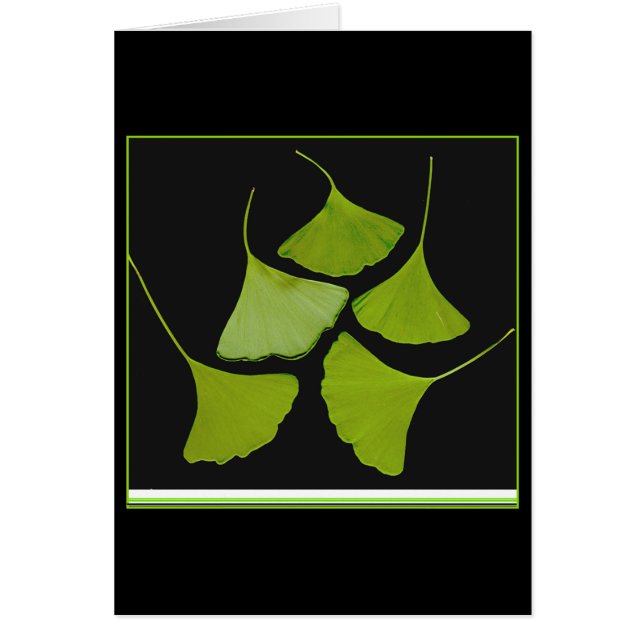 gingko leaves card (Front)