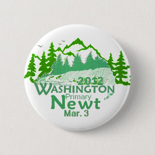 Gingrich Washington Button