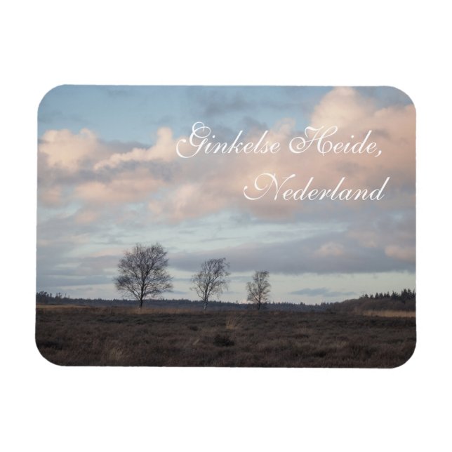 Ginkel Heath, Ede, Netherlands Landscape Magnet (Horizontal)