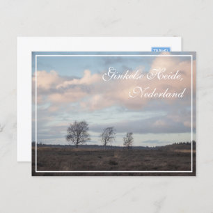 Ginkel Heath, Ede, Netherlands Landscape Postcard