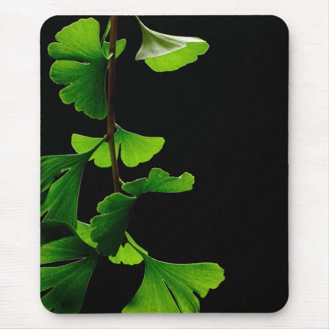 Ginkgo_Biloba_Leaves_-_Black_Background Mouse Pad (Front)
