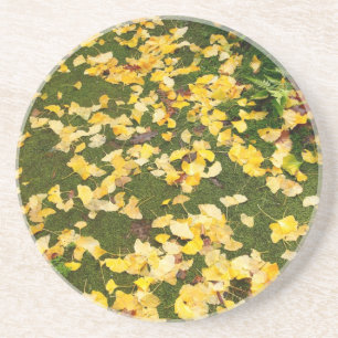 Ginkgo biloba leaves coaster