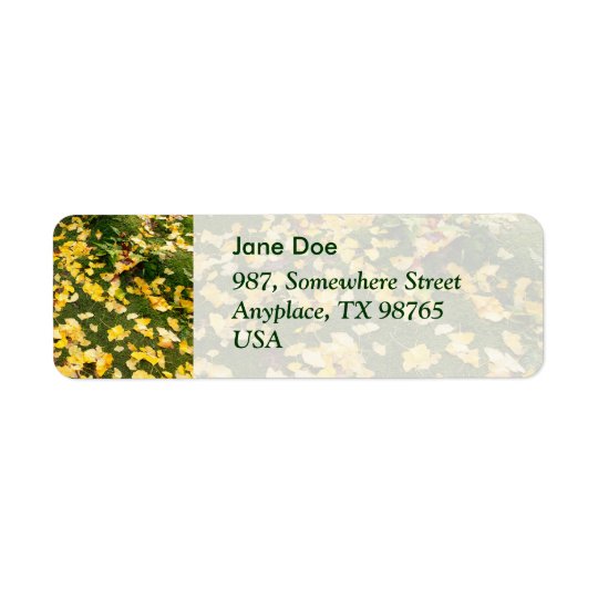 Ginkgo biloba leaves return address label