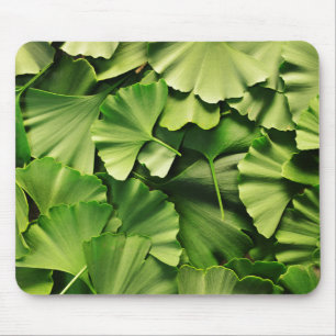 ginkgo biloba tree leaf nature plant texture mouse pad