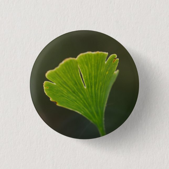 Ginkgo Leaf Badge (Front)
