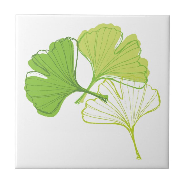 Ginkgo Leaf Ceramic Tile (Front)
