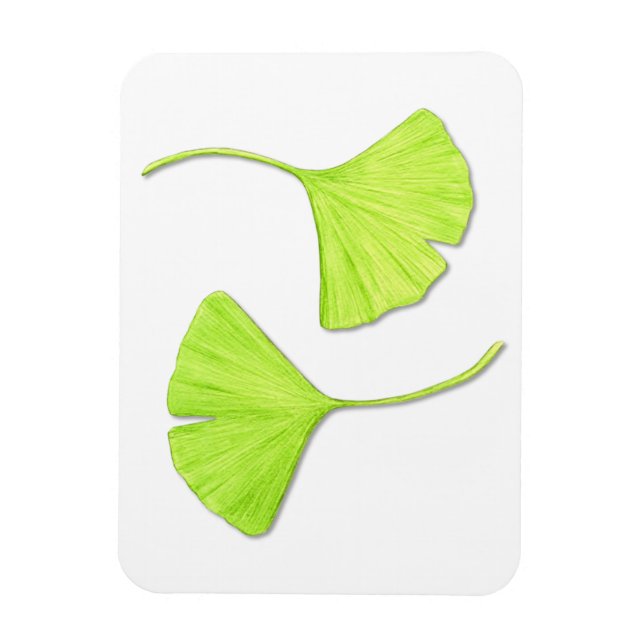 Ginkgo Leaves Flexi Magnet (Vertical)