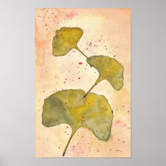 Ginkgo Leaves Poster