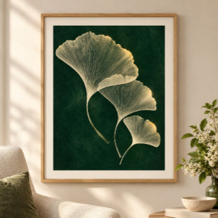 Ginkgo Light Archive Art Print