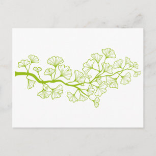 ginkgo tree with green leaves postcard