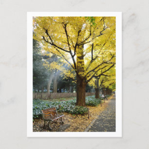 Ginkgo Trees: Meiji Jingu Gaien, Tokyo Postcard