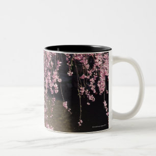 Gion, Kyoto Prefecture, Japan Two-Tone Coffee Mug