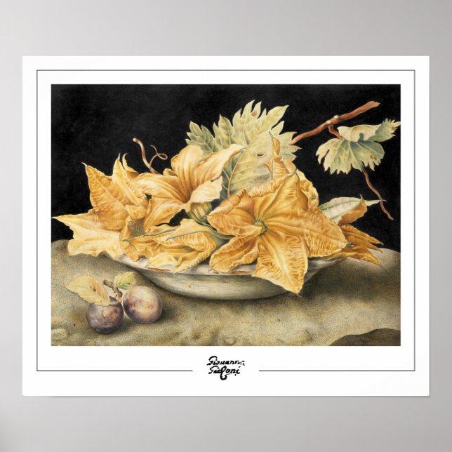 Giovanna Garzoni Zedign Art Poster #1 (Front)