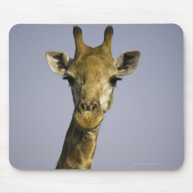 Giraffa Camelopardalis Mouse Pad (Front)
