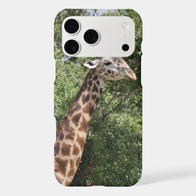 giraffe (Back)