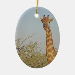 GIRAFFE 15 BOTSWANA CERAMIC ORNAMENT