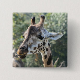 Giraffe 15 Cm Square Badge