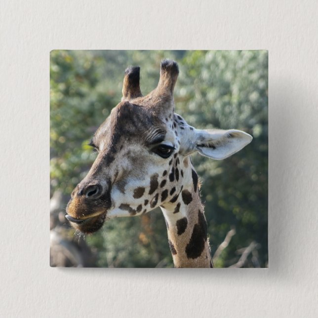 Giraffe 15 Cm Square Badge (Front)