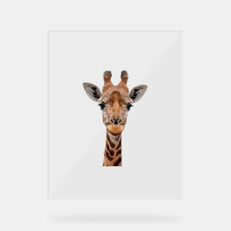 Giraffe _1 acrylic sign