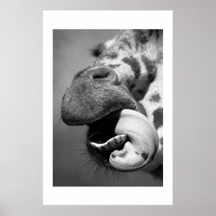 Giraffe#1 Poster