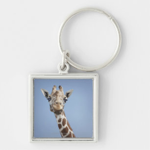 Giraffe 2 key ring