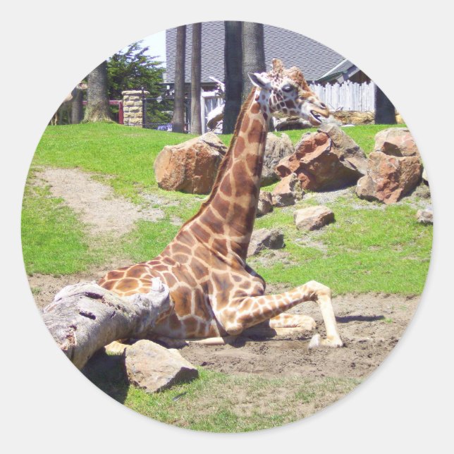 Giraffe #3 Stickers (Front)