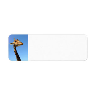 giraffe-468948 FUNNY HUMOR WILD ANIMALS ATTITUDE L Return Address Label
