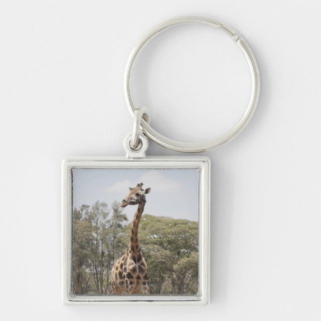 Giraffe 5 key ring (Front)