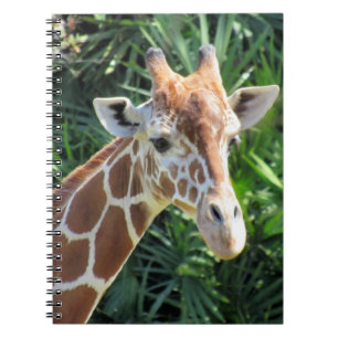 Giraffe - 6.5 x 8.75 Notebook