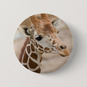 giraffe 6 cm round badge