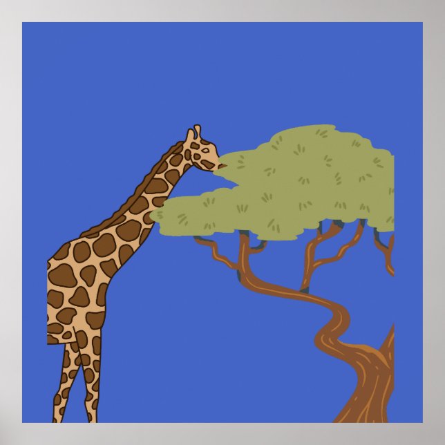 Giraffe, acacia poster (Front)