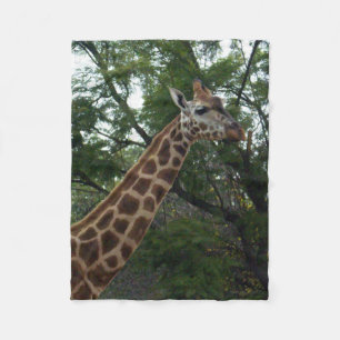 Giraffe Adventure, Small Fleece Blanket