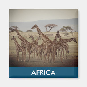 giraffe african magnet