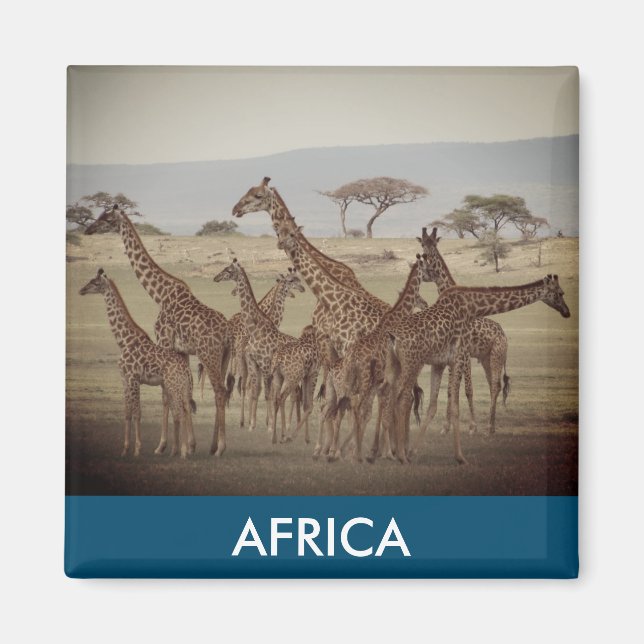giraffe african magnet (Front)