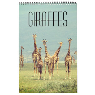 giraffe african safari calendar