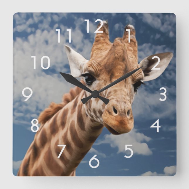 Giraffe and Blue Sky Photo Clock (Front)