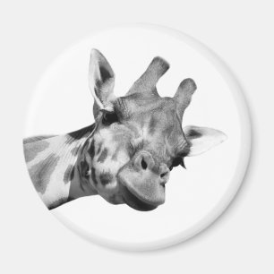 Giraffe animal jungle zoo wild black white photo magnet