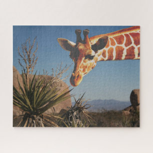 Giraffe at Joshua Tree Park Travel Scenic Cute Fun Jigsaw Puzzle