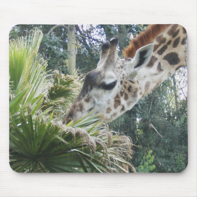Giraffe at Lunch Mouse Pad (Front)
