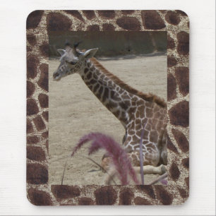 Giraffe at Rest Mouse Pad