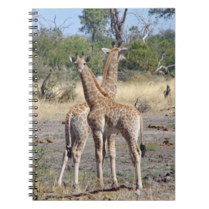 Giraffe Babies spiral notebook/journal Notebook