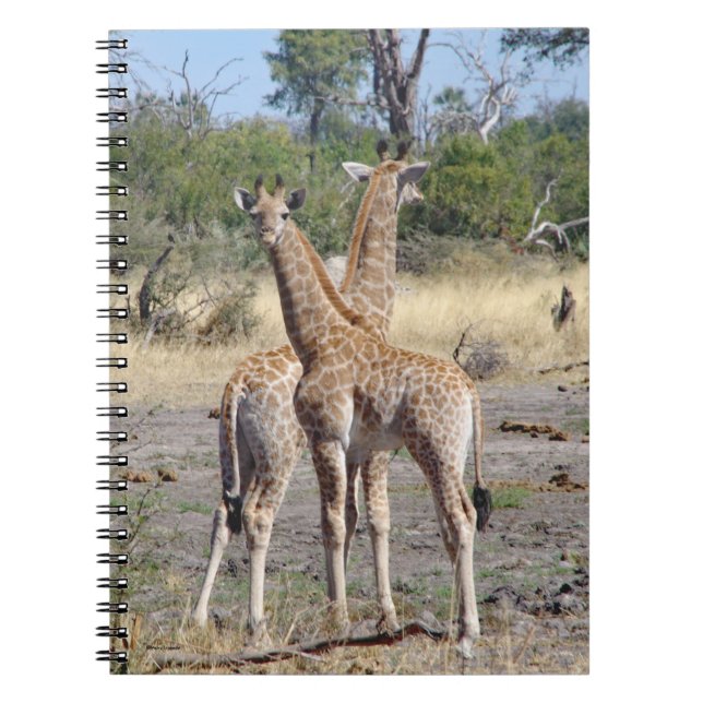 Giraffe Babies spiral notebook/journal Notebook (Front)