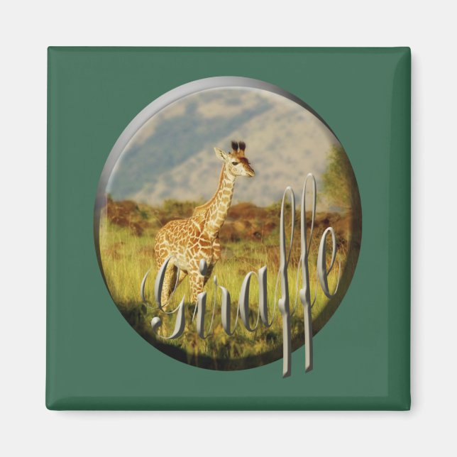 Giraffe baby wildlife safari magnets (Front)