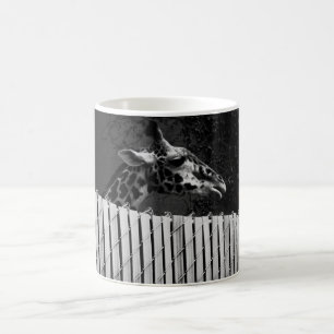 Giraffe behind Fence Black & White Photograph Coffee Mug