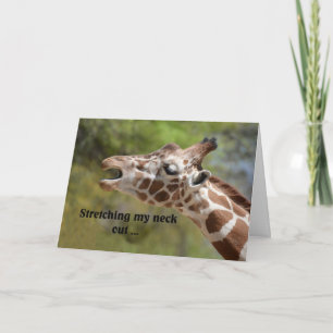 Giraffe Birthday Card