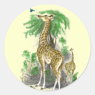 Giraffe Birthday Stickers