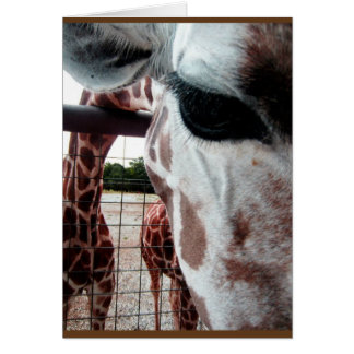 Giraffe blank card