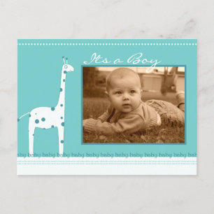 Giraffe Blue Its a Boy announcement Postcard