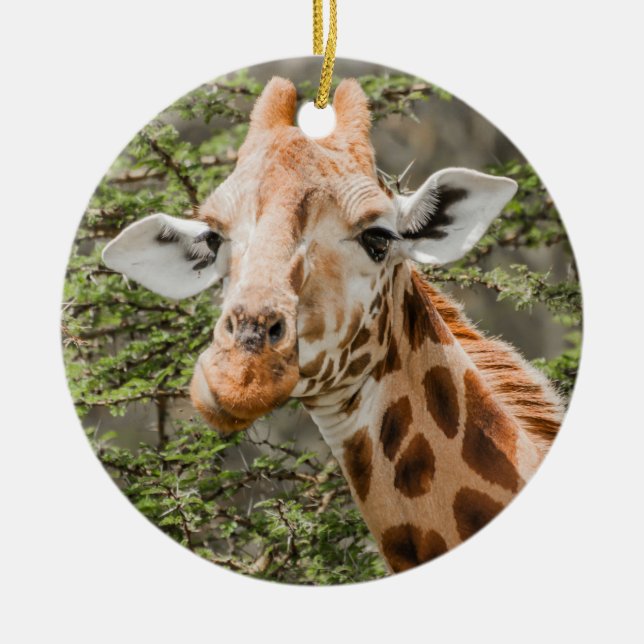 Giraffe Browsing Ceramic Ornament (Front)